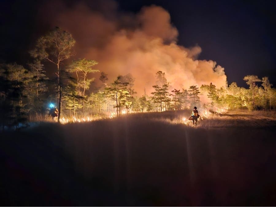 Heavy smoke from the Big Cypress National Preserve fire closed a section of U.S. 41 for several hours Saturday, Florida Highway Patrol said.