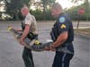 Florida Fish & Wildlife Conservation Commission officers helped police remove the gator from a Pinellas Park Publix parking lot, police said.