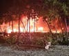 A docked boat caught fire at a Key Largo marina early Monday morning. 