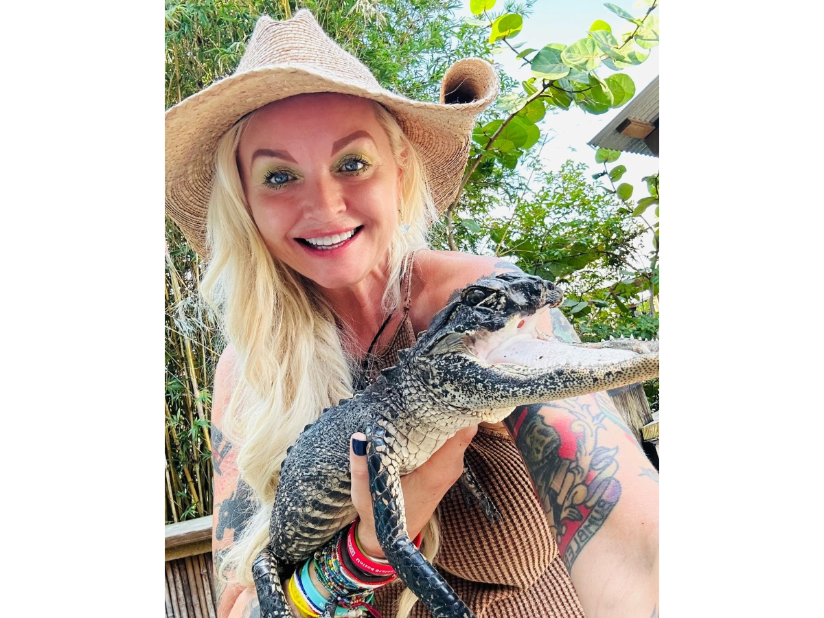 A tiny alligator missing the top half of her jaw was rescued and brought to Orlando’s Gatorland, which she’ll now call home. The gator likely wouldn't have survived in the wild much longer, the Central FL wildlife park said.
