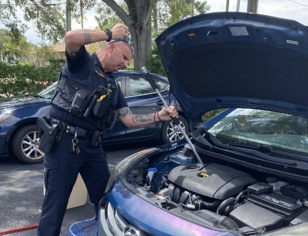 News small post card thumbnail