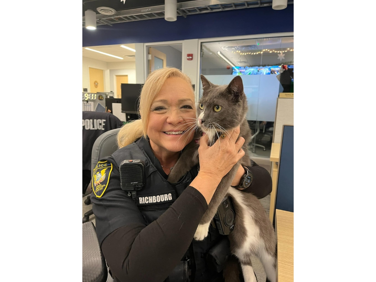 Sai the kitty had the adventure of a lifetime after he hitched a ride to Tampa International Airport with his grandmother.