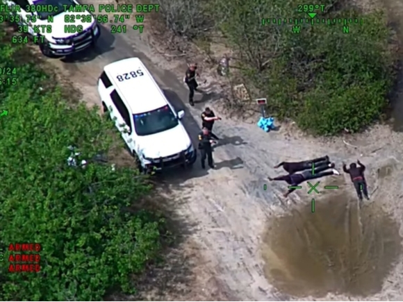 Three carjackers who stole a delivery driver’s car led law enforcement on a chase from Tampa into Pinellas County, police said.