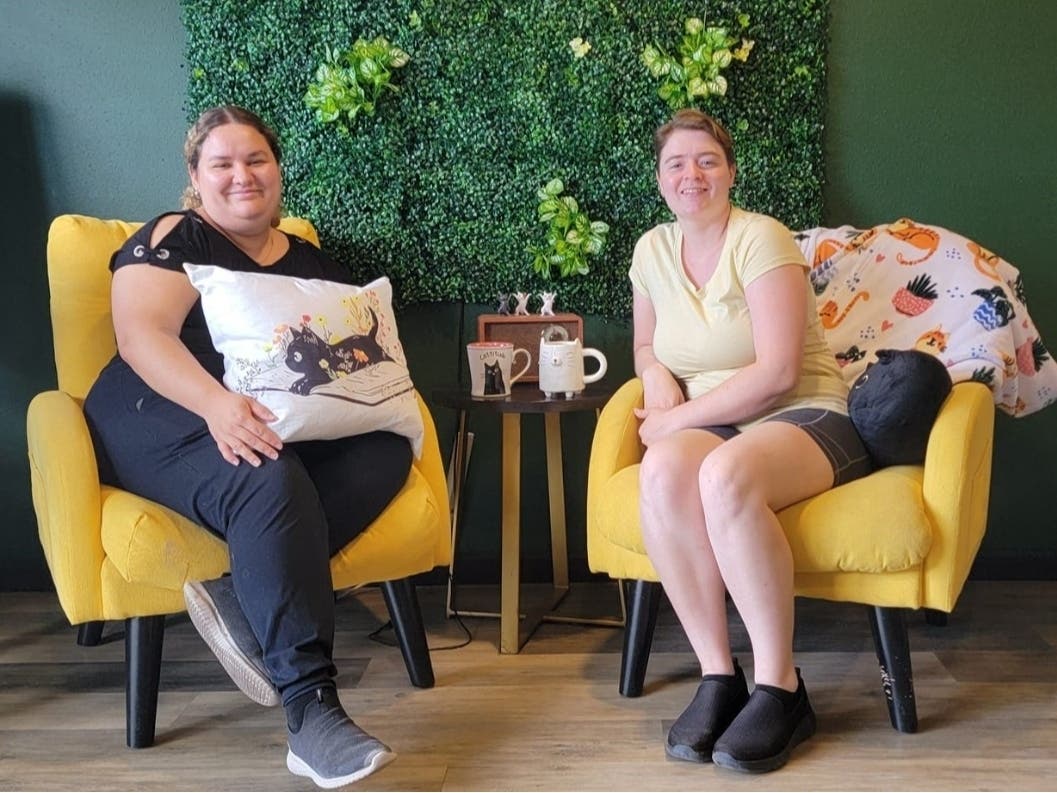 Cat lovers have a new feline-themed cafe to check out in St. Petersburg. Doakes N Doodle is also known for serving bagels shipped from NY.