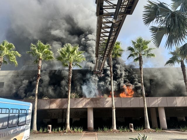 10 Cars Damaged In Fire At Grand Hyatt Tampa Bay Parking Garage ...