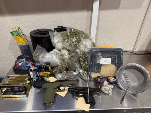 An eight-time convicted felon faces drug and weapon charges after a Tampa-area gang investigation, the Hillsborough County sheriff said.