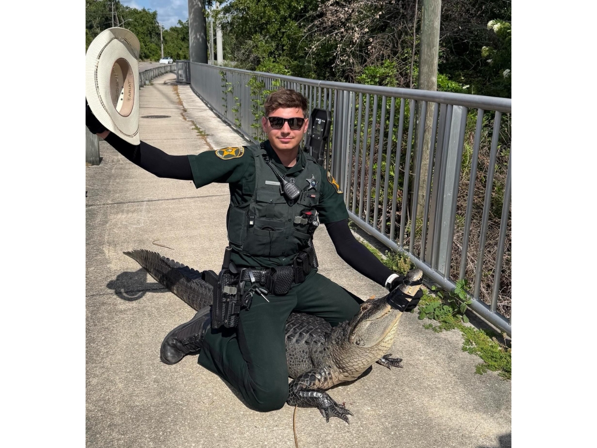 A FL deputy wrangled a large gator, climbing onto its back to keep it in place until a licensed trapper arrived.