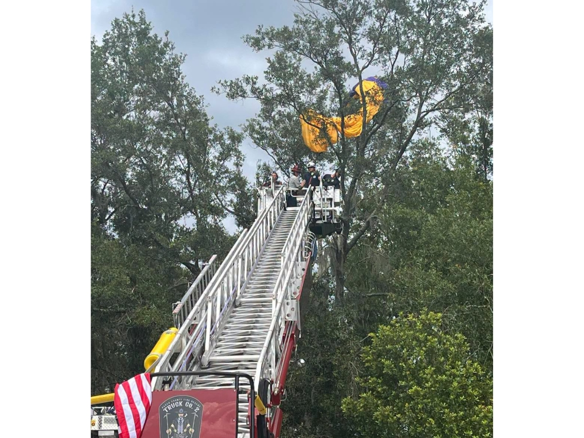 A skydiver was rescued after being caught 30 to 40 feet in a tree after a jump in the Zephyrhills area, Pasco Fire Rescue said. 
