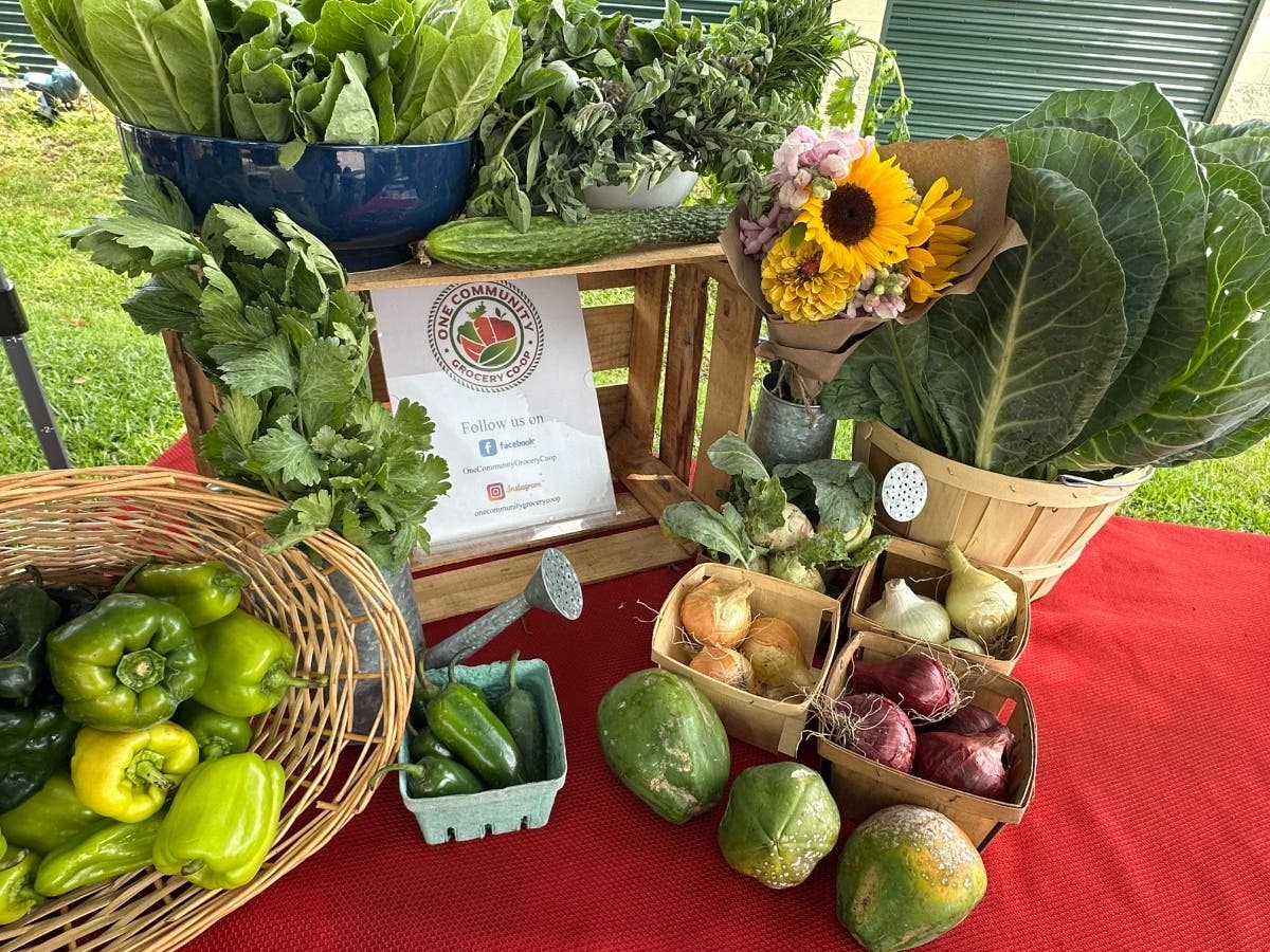 After years of working to improve food insecurity in south St. Pete, One Community Grocery Co-op plans to launch a new produce box program.