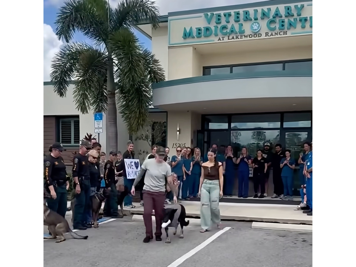 Polk County Sheriff's Office K-9 Ace was released from the animal hospital after losing his leg in a line-of-duty shooting. 