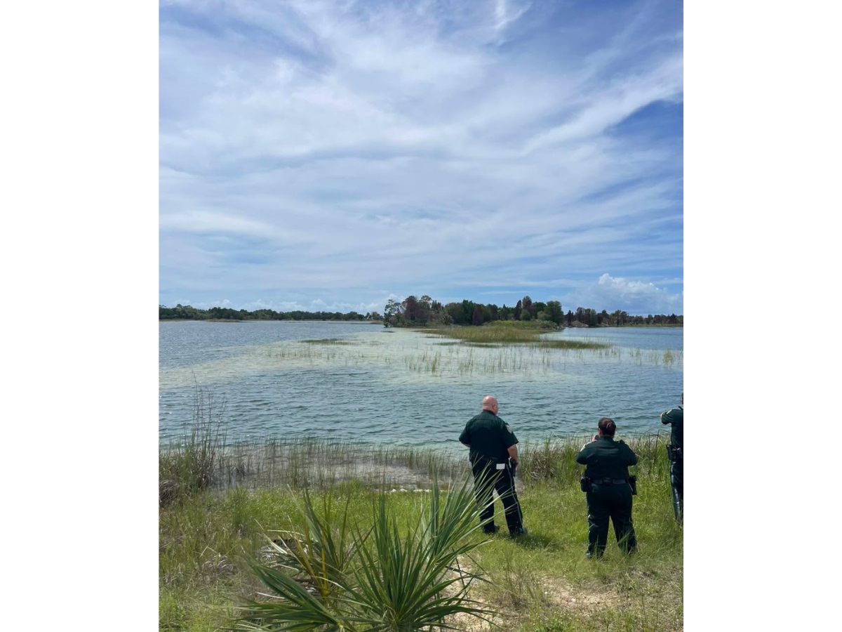 A 9- to 12-foot-long gator bit a child who was swimming at the Weeki Wachee Preserve, the Hernando County Sheriff’s Office said.