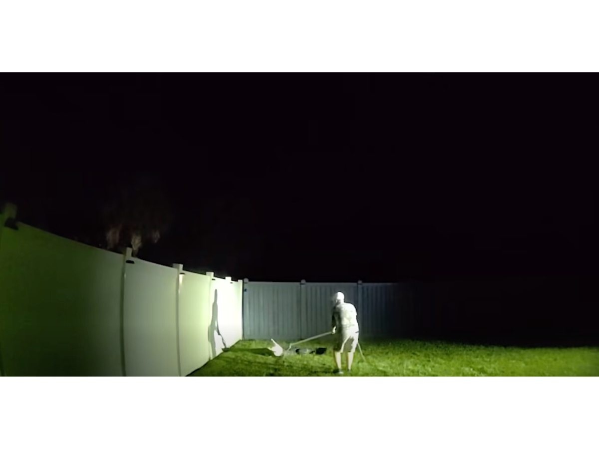 Watch an alligator trapper remove an 8-foot, 4-inch-long gator from the backyard of a Manatee County home.