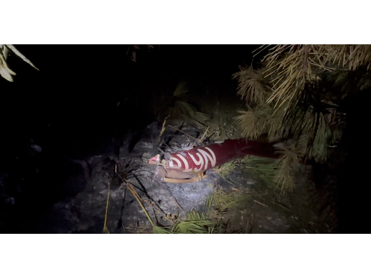 A Manatee County Mosquito Control pilot died after his helicopter crashed in a wooded area near Dakin Dairy Farms in Myakka City.