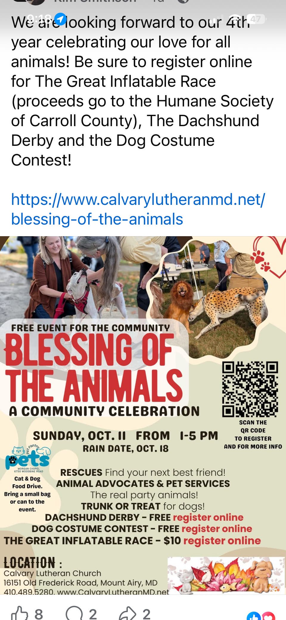 Blessing Of The Animals