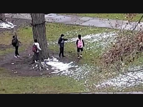 Four suspects accused of vandalizing a holiday light display on Waltham Common may be local students, according to police. 