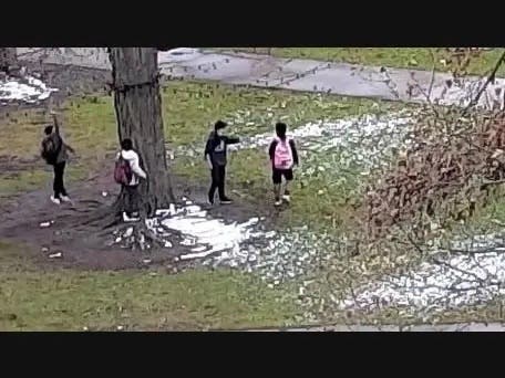 The four suspects accused of vandalizing a holiday light display on Waltham Common have been identified, according to police.
