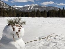 What can you make out of snow?