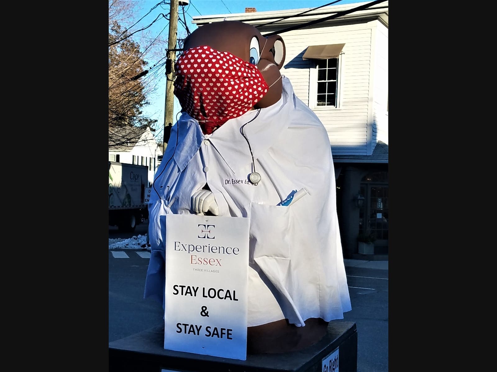 Essex Ed is appropriately adorned in a mask and a doctor's coat, complete with his name embroidered on his chest and a vile of "Covid-19 vaccine" in his pocket. 