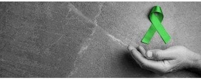 Lyme Fight Foundation