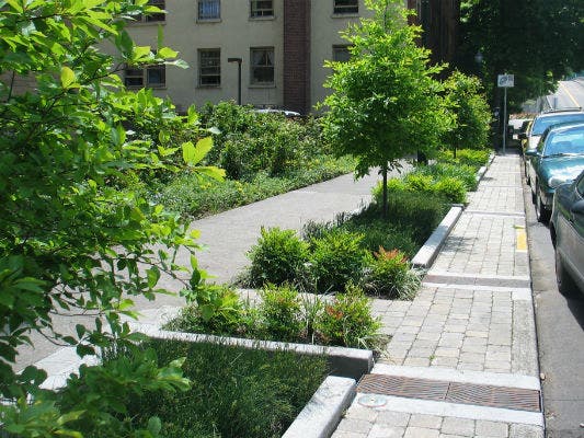 News small post card thumbnail