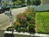 A rain garden created by Dave Chalek of Sprout Farms and Gardens