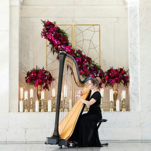 Tyler Hartley, Atlanta Harpist
