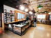 Inside Green Meadows new cannabis dispensary at 50 Whalon Street, Fitchburg, MA. 