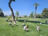 Kids out finding the eggs