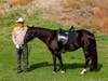 Mike Rathbone leading the riderless horse during a Veterans Day event. 