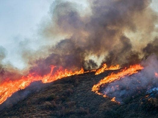 Controlled Burns Continue In Little Egg Harbor | Barnegat, NJ Patch