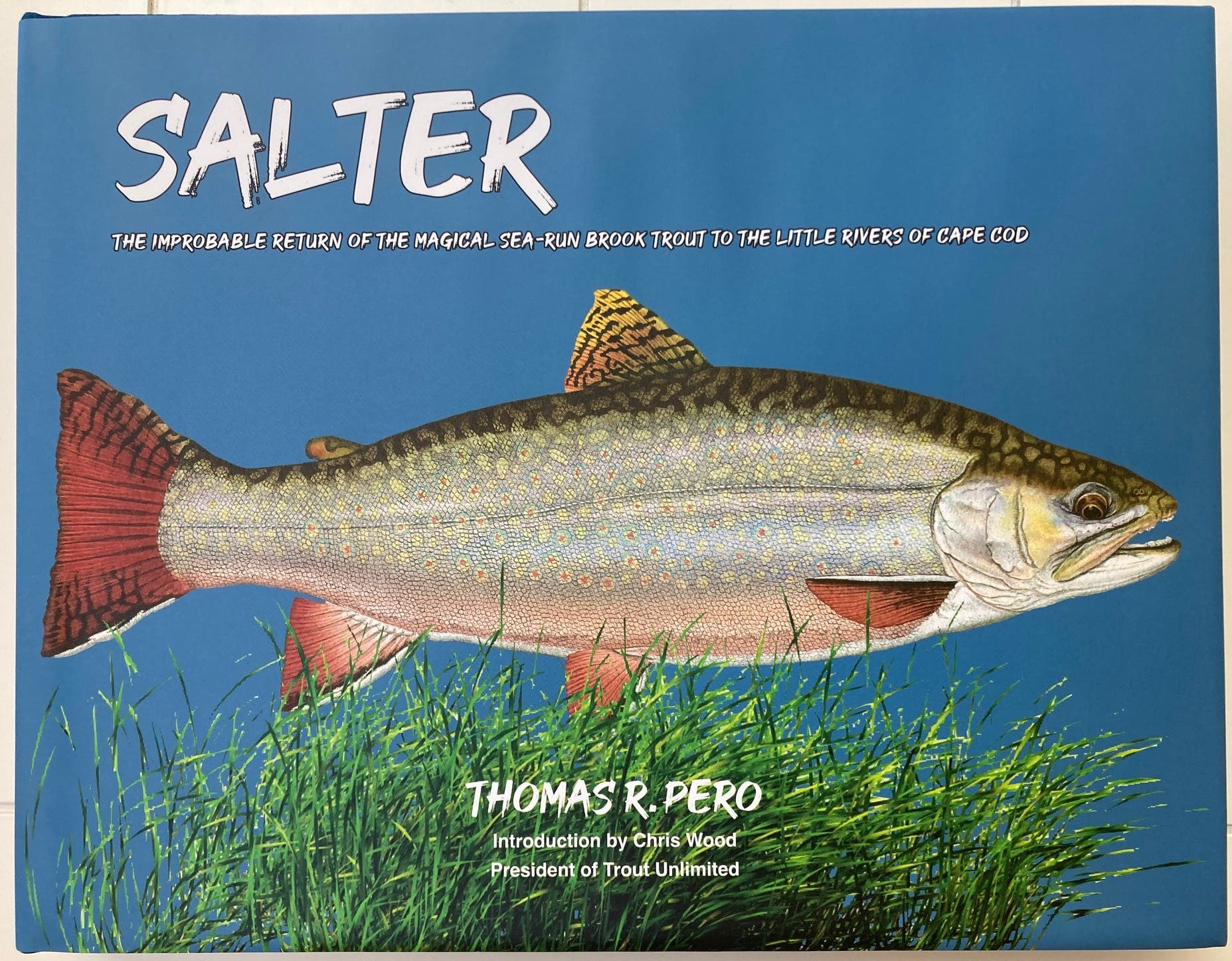 New book event: "Salter" about return of sea-run brook trout to Cape Cod rivers