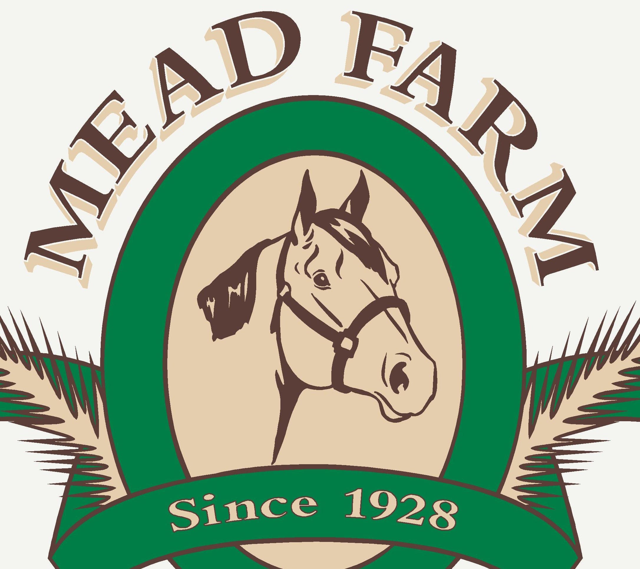 SUMMER OWN-YOUR-OWN-HORSE PROGRAM - MEAD FARM, 107 June Road, Stamford