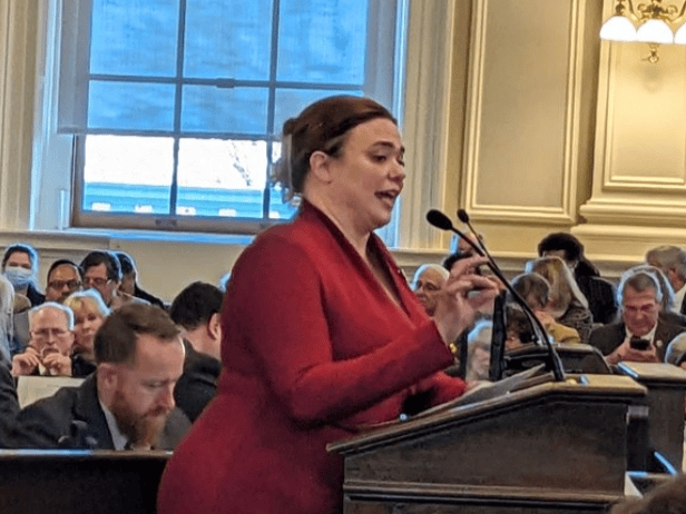 Rep. Ellen Read (D-Newmarket) on the floor of the New Hampshire House.