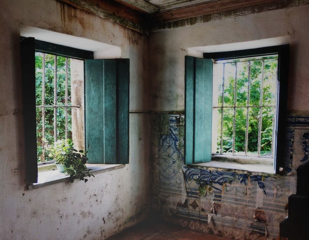 Places Mold Hides In Your Home Chicago Il Patch