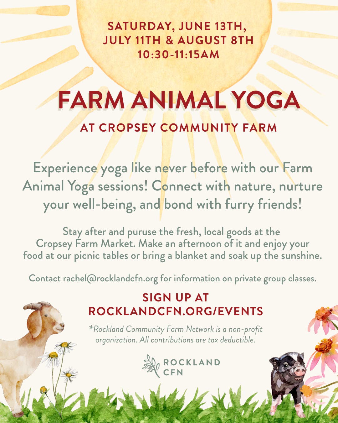 Farm Animal Yoga 