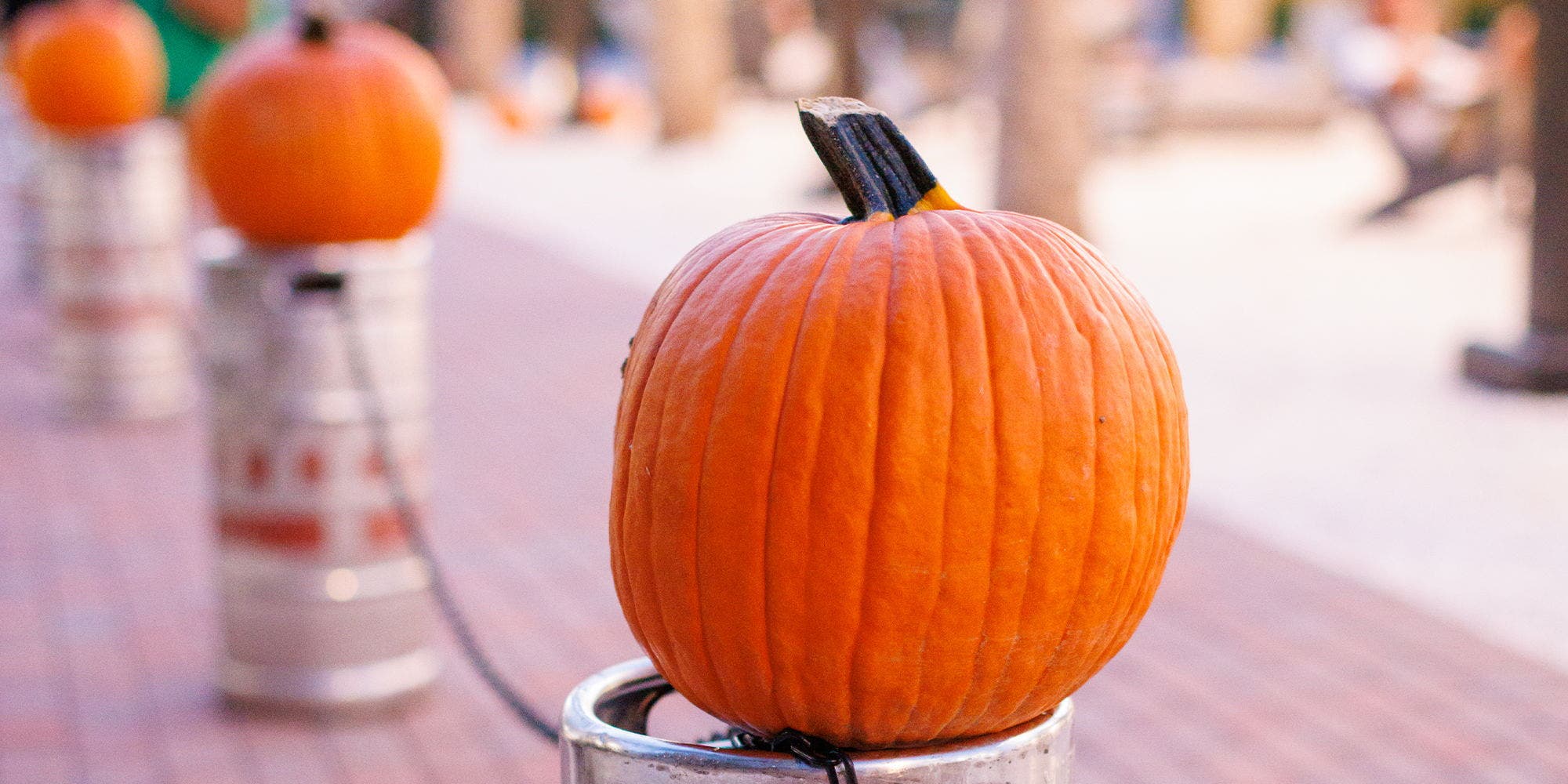 Pumpkin Patch & Fun Fall Fest