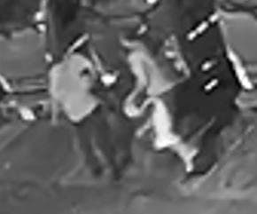Catalytic Converter Suspects