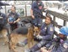 K-9s and their handlers take a well-deserved rest.​
