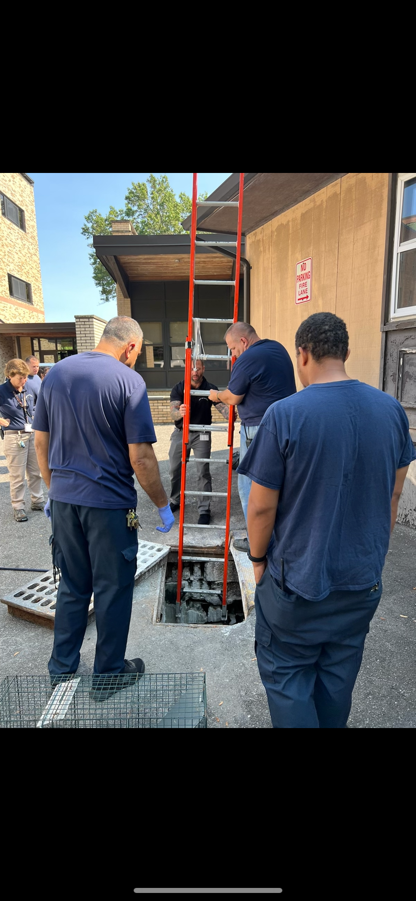 Strong Island Animal Rescue