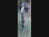 Another image released by police.