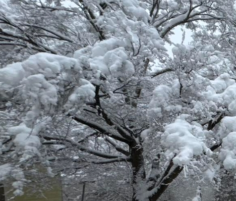 This weekend's expected snowstorm will add up for municipalities like Patchogue, its mayor says.