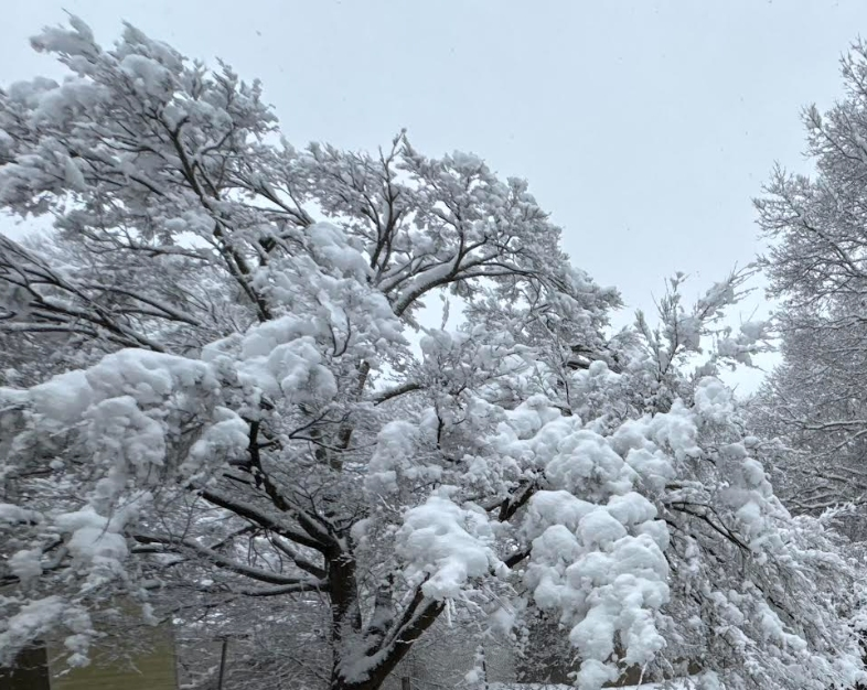 The snow emergency has been lifted in Patchogue, officials said in a post to the village's website​ Tuesday afternoon. 