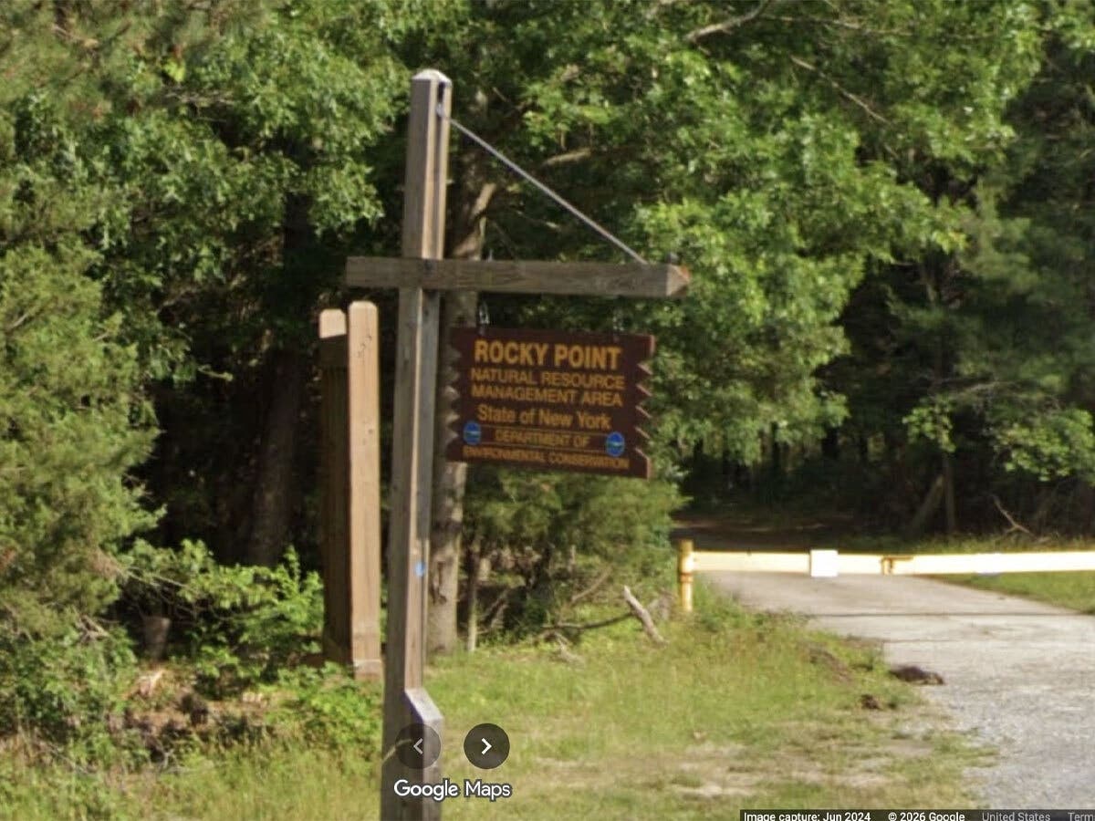 A person caught dumping a deer carcass at Rocky Point State Forest parking admitted to being paid to dispose of it and then also dumping a hitch carrier to evade detection, the state Department of Environmental Conservation said Thursday.