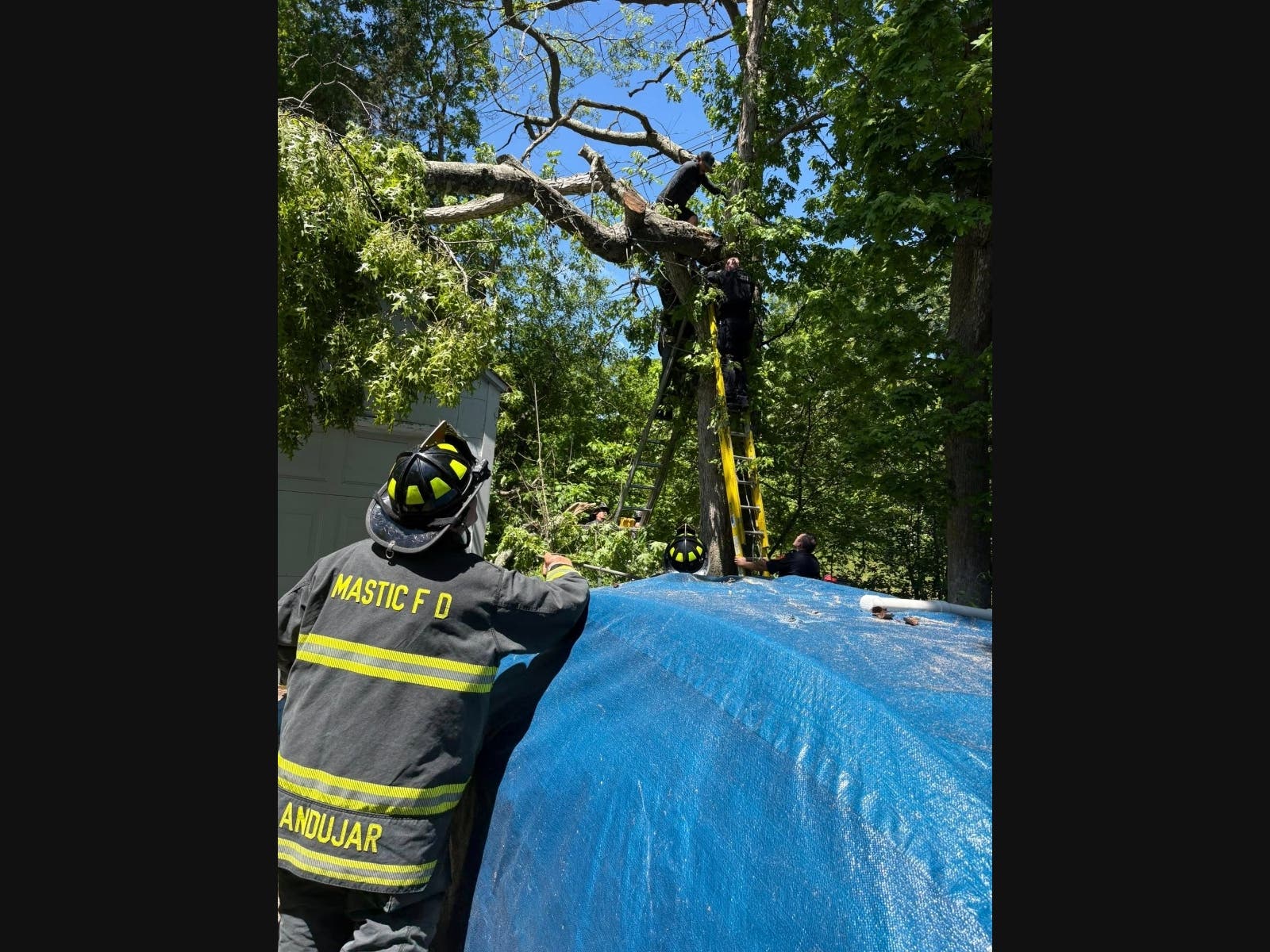 A man was rescued from a tree in Shirley by a group of about 20 first responders on Saturday morning, the Mastic Fire Department said.