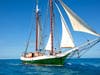 Built in 1983 in Mystic, CT, the clipper is a 125-foot traditionally rigged tall ship and the largest of its kind sailing on Long Island.