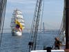 Around 45 ships from around the world took part in the parade.