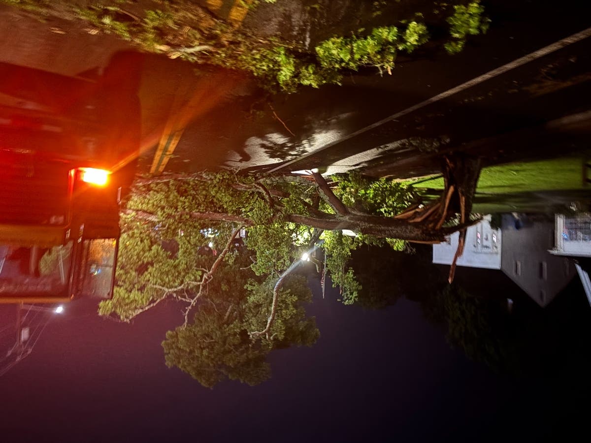 After the severe winds and rains that blew across the county on July 4, causing significant local damage, county officials from Fire, Rescue, and Emergency Services, in collaboration with the state, have developed an online damage self-reporting tool.