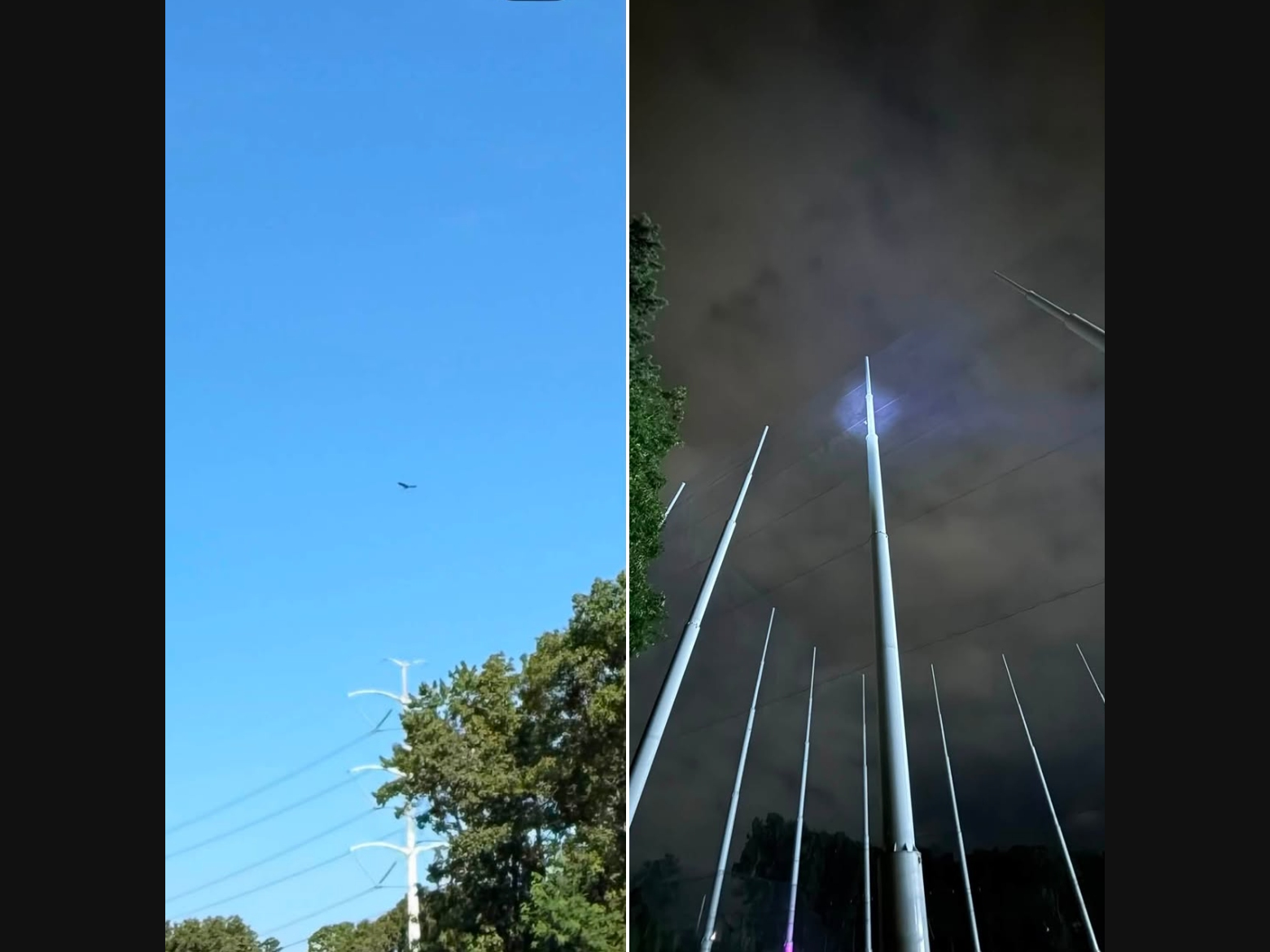 A hawk that had become stuck in a net 100 feet towering over the Long Island Expressway at Topgolf in Holtsville was finally freed after 24 hours, the Strong Island Animal Rescue League said Wednesday.