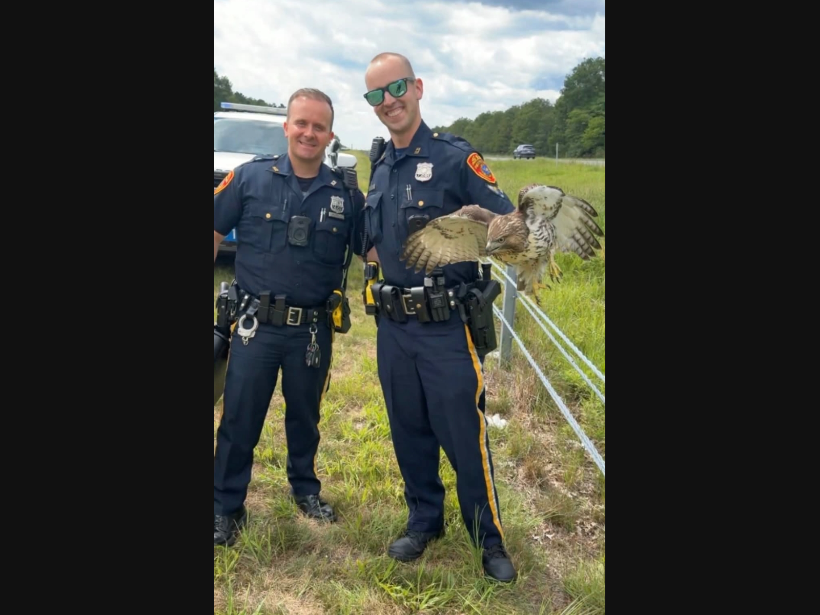 A pair of Suffolk police officers rescued an injured hawk from Sunrise Highway on Tuesday.