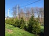 St. Teresa of Avila Church in Summit has planted dozens of trees at its cemetery as part of a program that aims to ultimately plant 500 trees on the parish’s church, school, and cemetery grounds. 